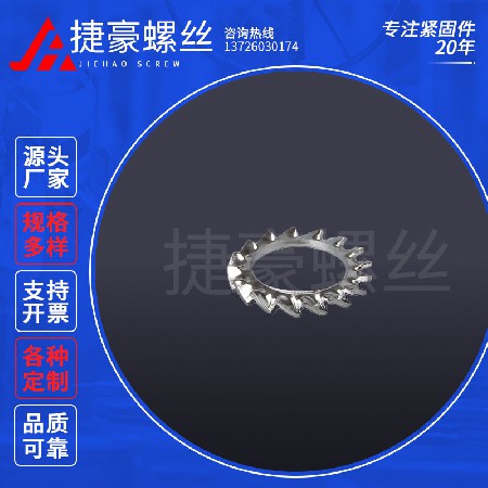 外锯齿垫圈